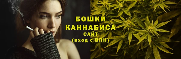 хмурый Арсеньев