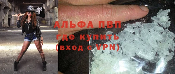 хмурый Арсеньев