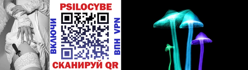 ОМГ ОМГ ссылка  Коломна  Галлюциногенные грибы Psilocybe 